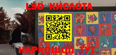 стаф Будённовск