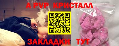 стаф Будённовск