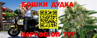 стаф Будённовск