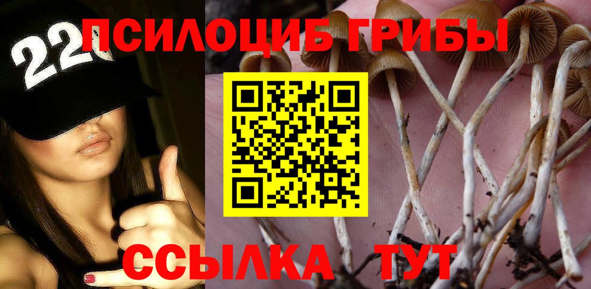 Галлюциногенные грибы Cubensis Моршанск