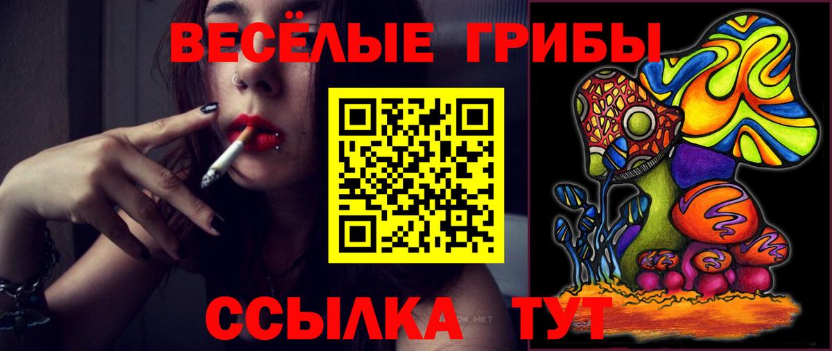 Моршанск  Псилоцибиновые грибы мицелий  наркошоп  Вход с VPN 